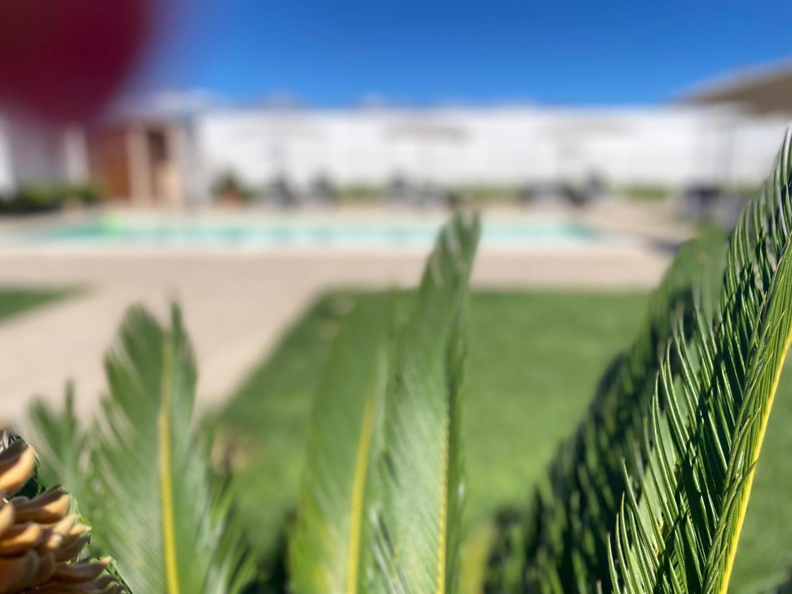 Agriturismo Albachiara Bisignano Екстер'єр фото